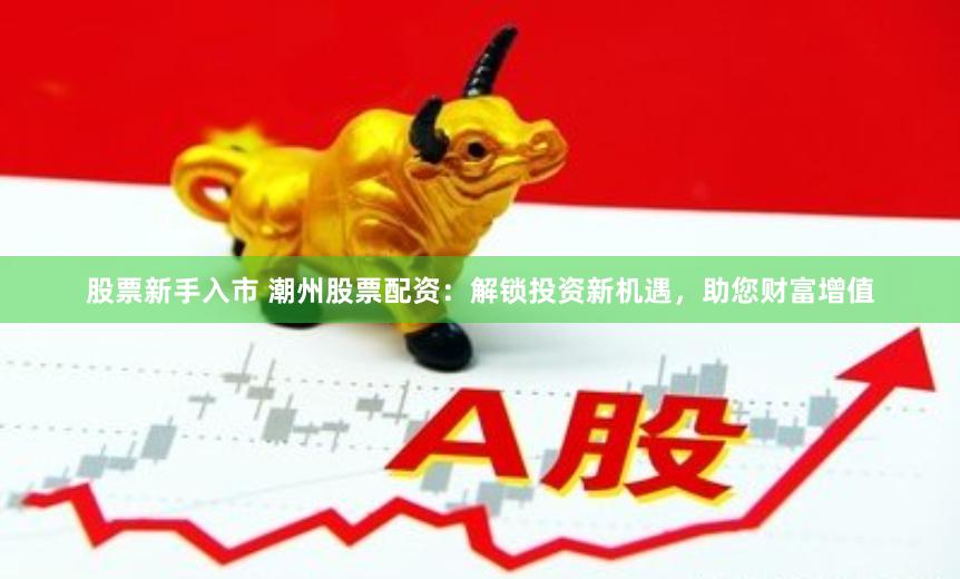 股票新手入市 潮州股票配资：解锁投资新机遇，助您财富增值