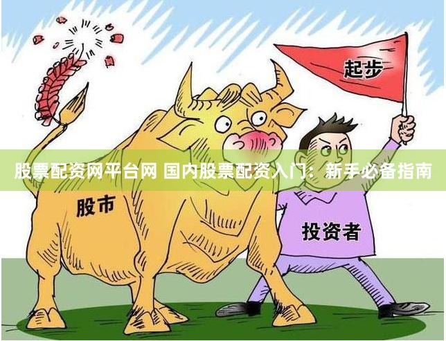 股票配资网平台网 国内股票配资入门：新手必备指南