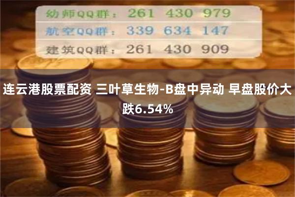 连云港股票配资 三叶草生物-B盘中异动 早盘股价大跌6.54%