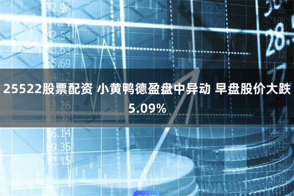 25522股票配资 小黄鸭德盈盘中异动 早盘股价大跌5.09%