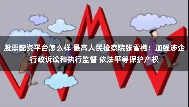 股票配资平台怎么样 最高人民检察院张雪樵：加强涉企行政诉讼和执行监督 依法平等保护产权