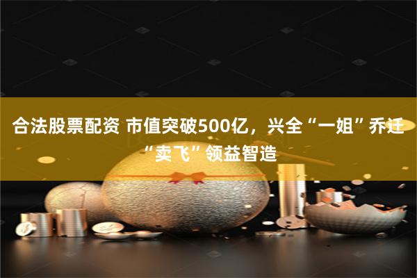 合法股票配资 市值突破500亿，兴全“一姐”乔迁“卖飞”领益智造