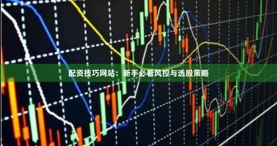 配资技巧网站：新手必看风控与选股策略