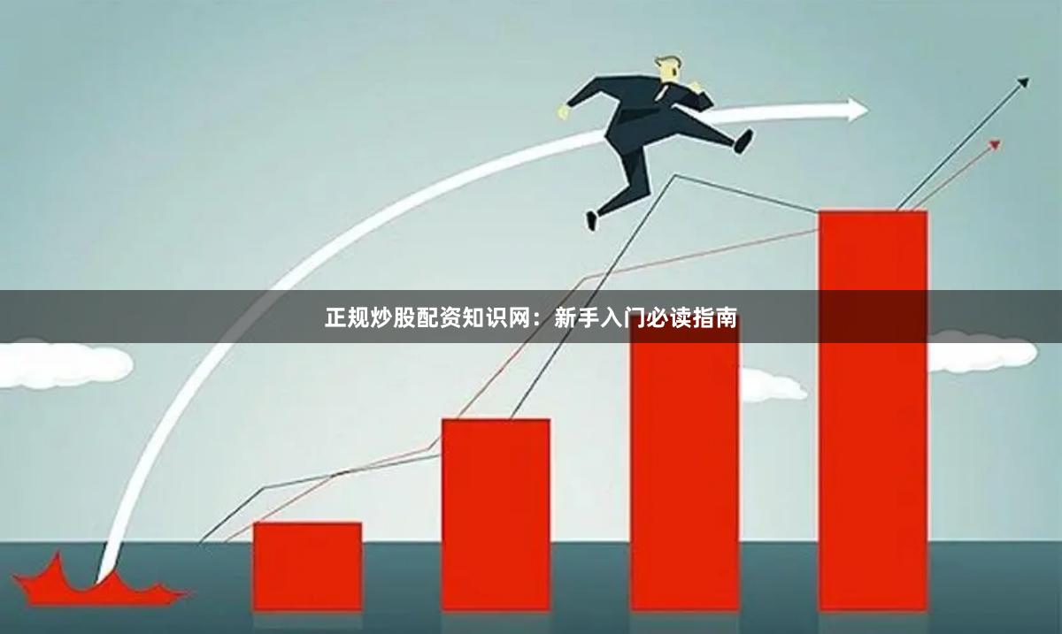 正规炒股配资知识网：新手入门必读指南